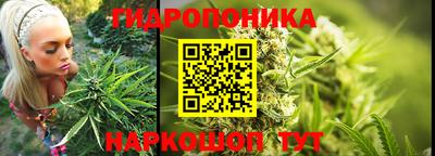 a pvp Гусев