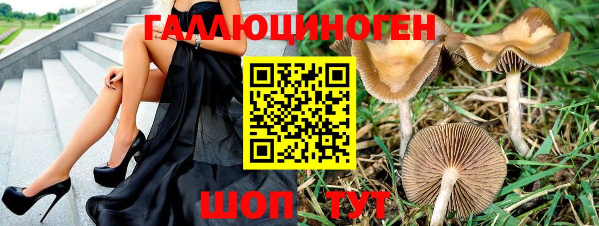 Галлюциногенные грибы Cubensis  где купить наркоту  Вход с VPN  Нижневартовск  Галлюциногенные грибы мухоморы 